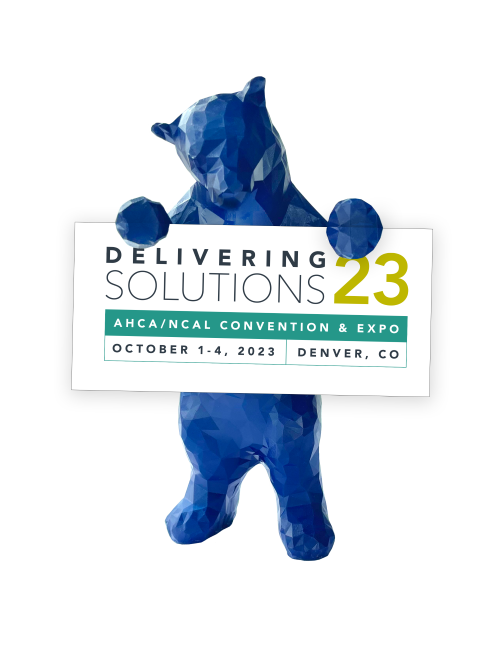 Introducing 'Delivering Solutions 23'